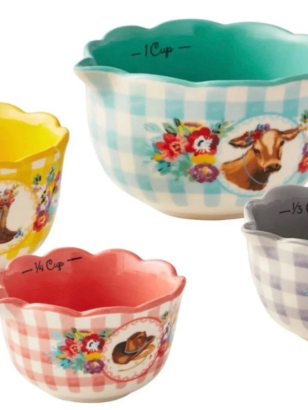Pioneer Woman Gingham Sweet Romance Measuring Cup Set